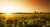 Adobe Stock 17442339